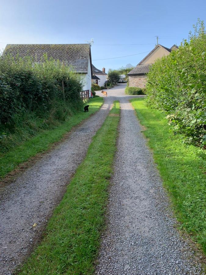 The Reindeer Retreat Buttercup Twin Hotell Kidwelly Eksteriør bilde